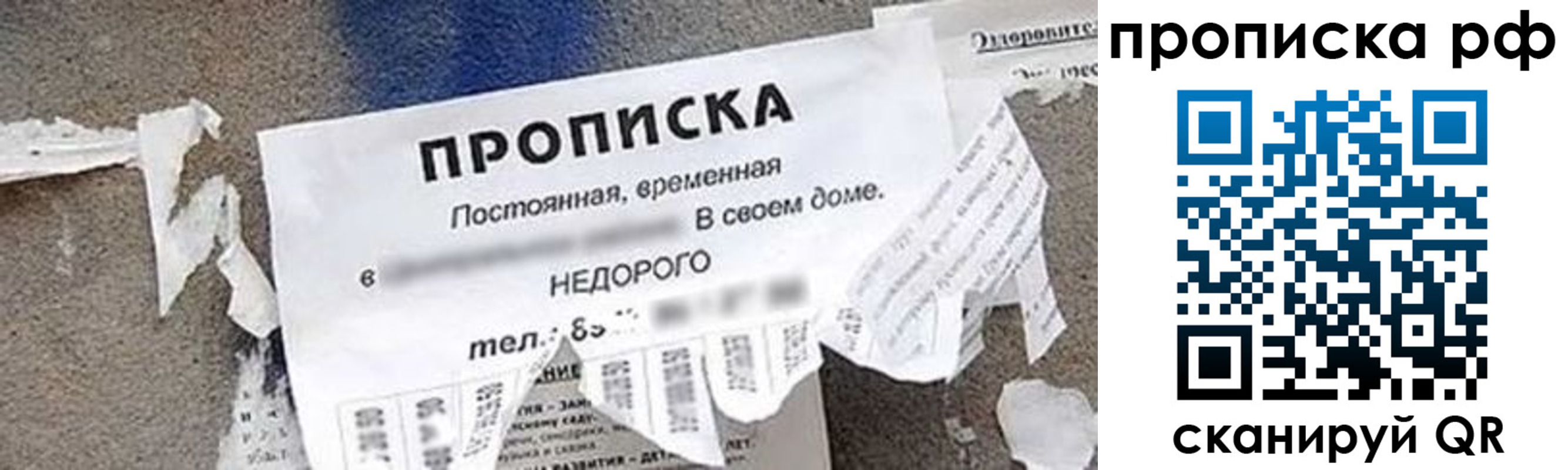 где прописаться в Лыткарино
